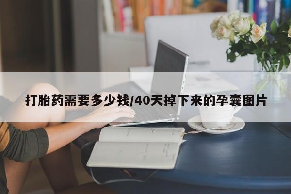 打胎药怎么购买打胎药需要多少钱/40天掉下来的孕囊图片
